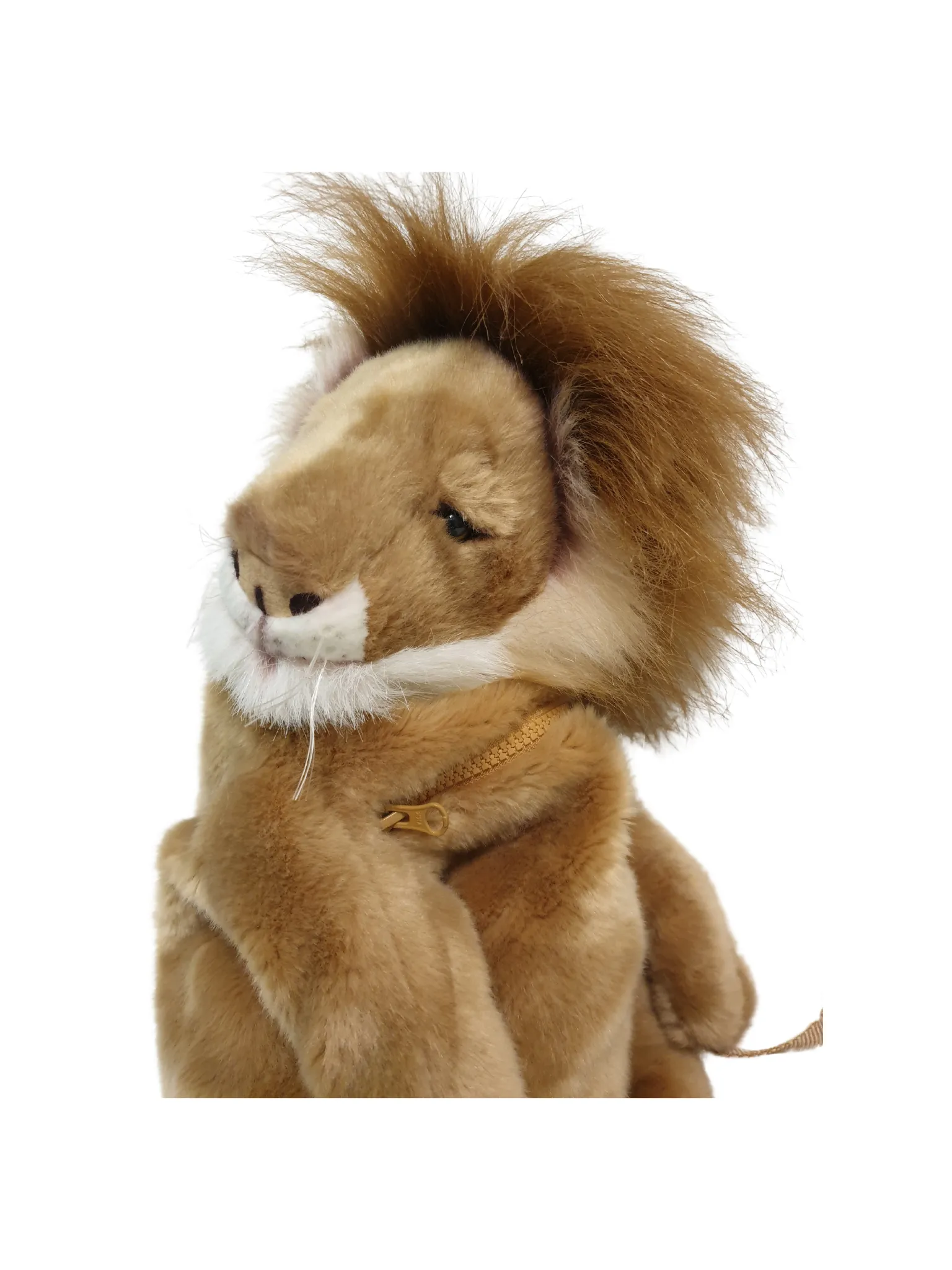 Backpack Lion