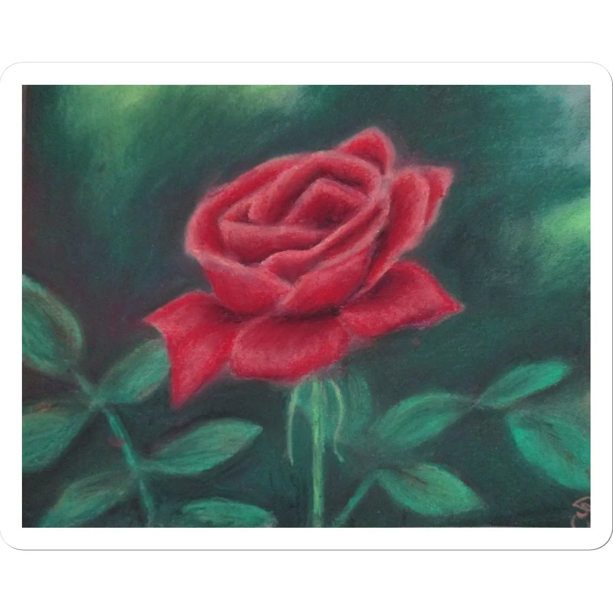 Beauty of Rose ~ Sticker