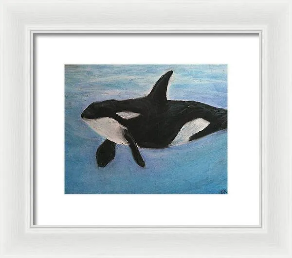 Orca Calls  - Framed Print