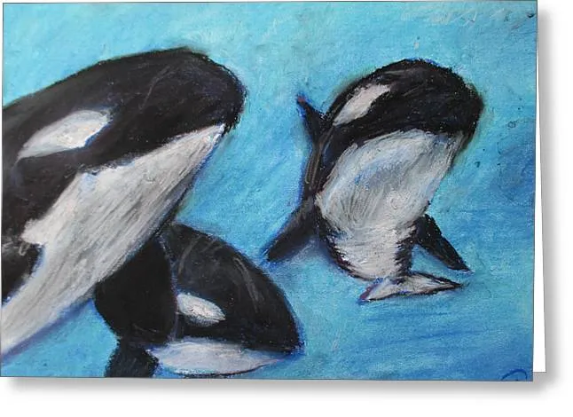 Orca Tides - Greeting Card