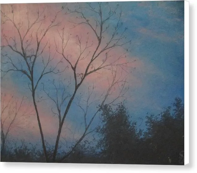 Precious Skies - Canvas Print