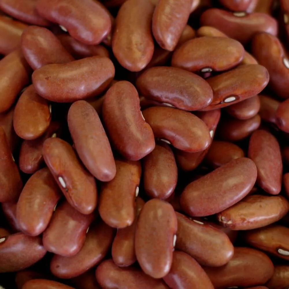 Rainy Day Foods Kidney Beans 50 lbs Bag - 247 Servings
