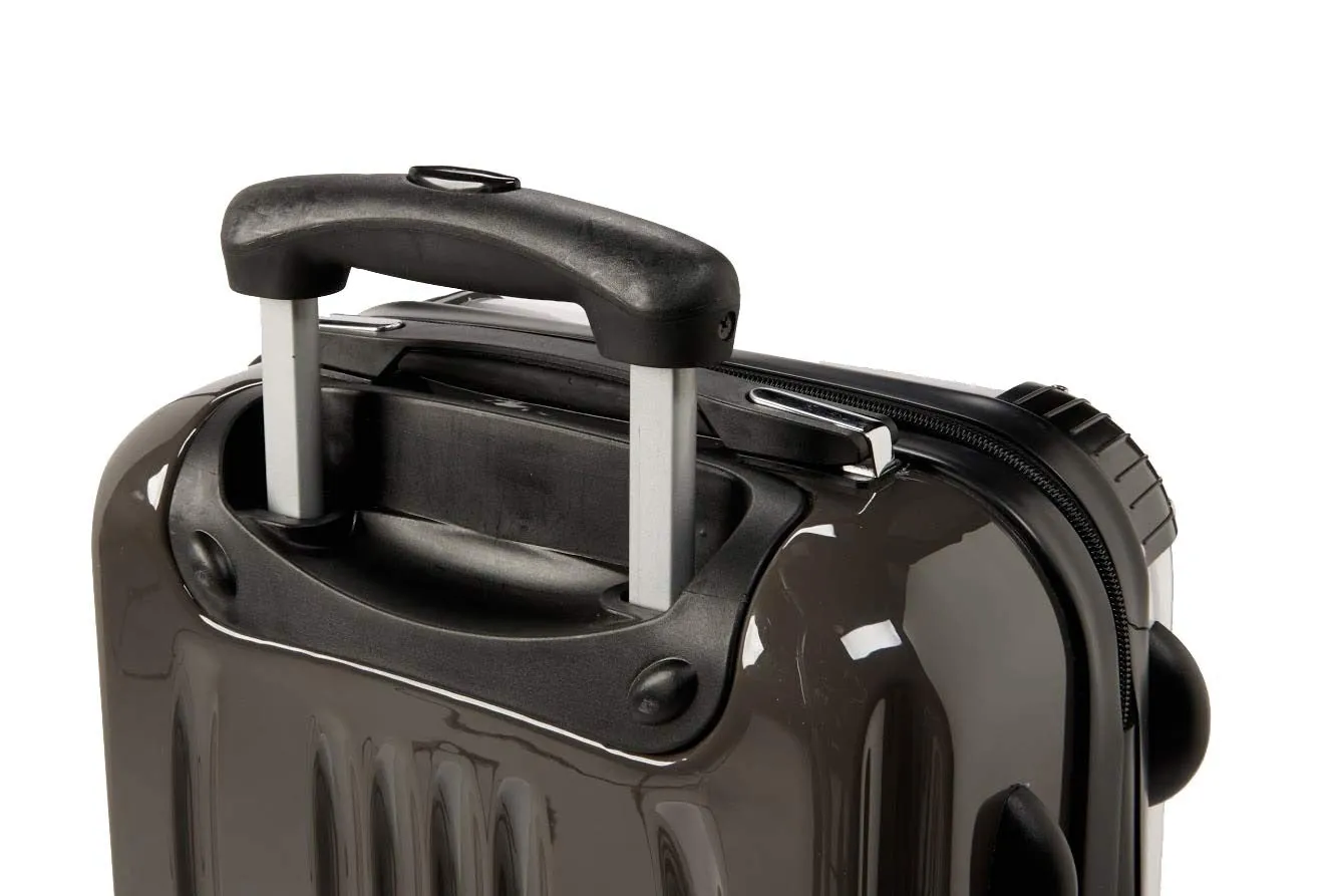 Scales Suitcase / Luggage