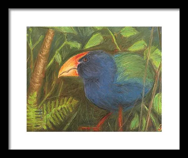 The Takahe - Framed Print