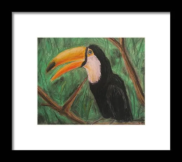 Toucan - Framed Print