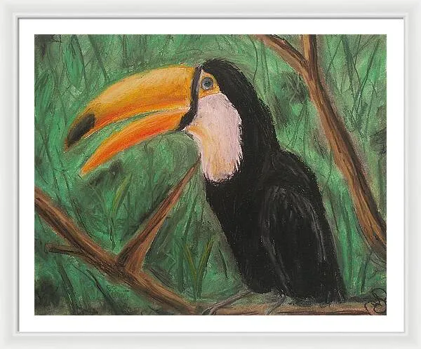 Toucan - Framed Print