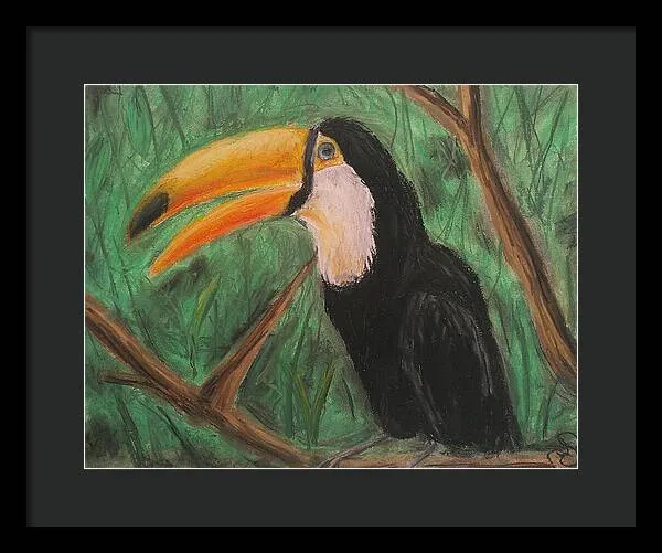 Toucan - Framed Print