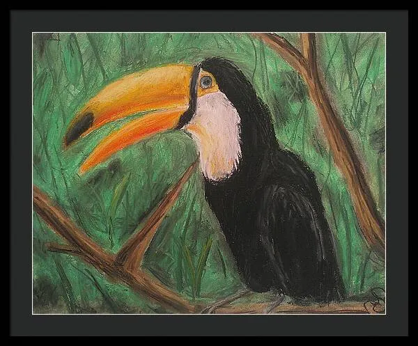 Toucan - Framed Print