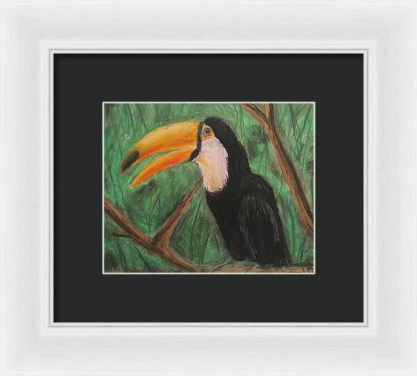Toucan - Framed Print