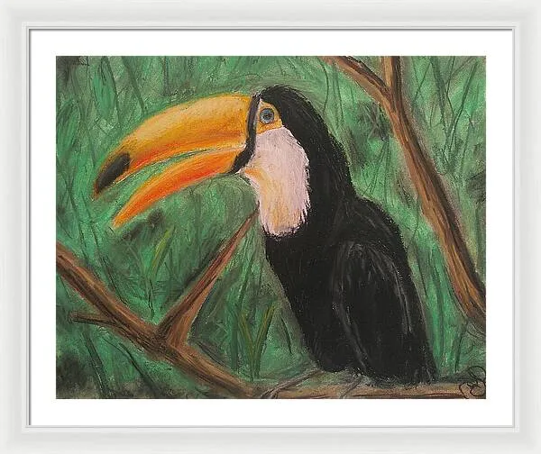 Toucan - Framed Print