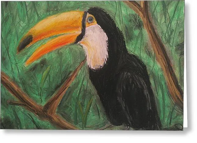 Toucan - Greeting Card
